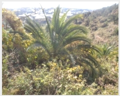  2024Ÿ��35724 ���� �������� �󿹵� 3416       ����(��1)���