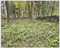  2024Ÿ��35991  �Ӿ߰��