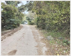  2024Ÿ��35991  �Ӿ߰��