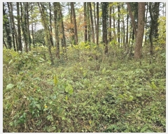  2024Ÿ��35991  �Ӿ߰��