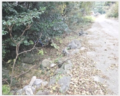  2024Ÿ��35991  �Ӿ߰��