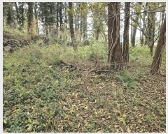  2024Ÿ��35991  �Ӿ߰��