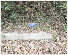  2024Ÿ��35991  �Ӿ߰��