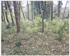  2024Ÿ��35991  �Ӿ߰��