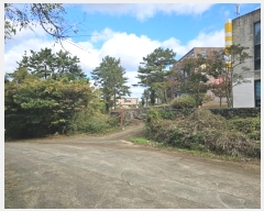  2024Ÿ��35991  �Ӿ߰��