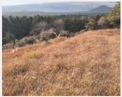  2024Ÿ36352    ŷʸ 2153-8      ()