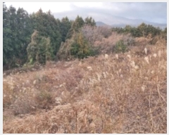  2024Ÿ36352    ŷʸ 2153-8      ()