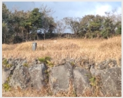  2024Ÿ36352    ŷʸ 2153-8      ()