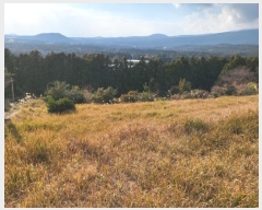  2024Ÿ36352    ŷʸ 2153-8      ()