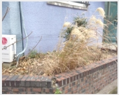  2024Ÿ��36536 ���� ���ֽ� ������ 763       �ٰ������ð��