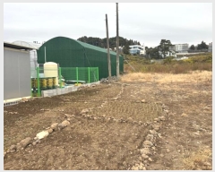  2024Ÿ36796   ȫ 1711       ()