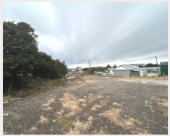  2024Ÿ36796   ȫ 1711       ()