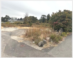  2024Ÿ36796   ȫ 1711       ()