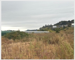  2024Ÿ36796   ȫ 1711       ()