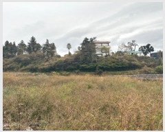  2024Ÿ36796   ȫ 1711       ()