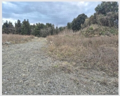  2024Ÿ36888  ֽ  2090-6       (1)