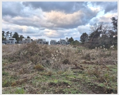  2024Ÿ36888  ֽ  2090-6       (1)