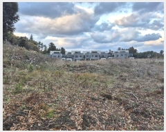  2024Ÿ36888  ֽ  2090-6       (1)