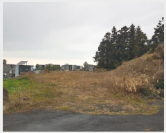  2024Ÿ��37508  �����