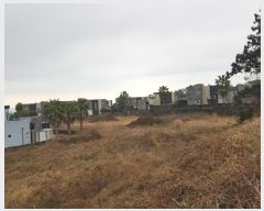  2024Ÿ��37508  �����