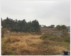  2024Ÿ��37508  �����