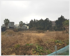  2024Ÿ��37508  �����