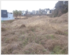  2024Ÿ��37508  �����