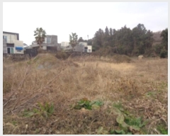  2024Ÿ��37508  �����