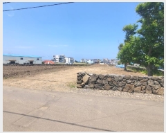  2024Ÿ��5839  �Ӿ߰��