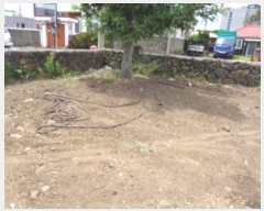  2024Ÿ��5839  �Ӿ߰��