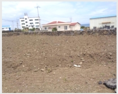  2024Ÿ��5839  �Ӿ߰��