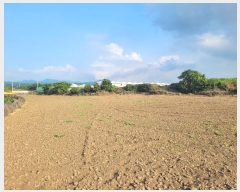  2024Ÿ��8746 ���� ���ֽ� �ֿ��� ������ 3774-2      ����(��1)���