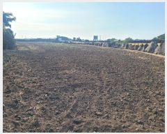  2024Ÿ��8746 ���� ���ֽ� �ֿ��� ������ 3774-2      ����(��1)���