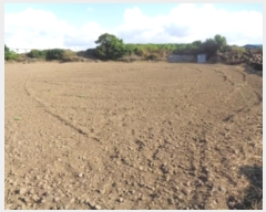  2024Ÿ��8746 ���� ���ֽ� �ֿ��� ������ 3774-2      ����(��1)���