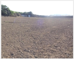  2024Ÿ��8746 ���� ���ֽ� �ֿ��� ������ 3774-2      ����(��1)���