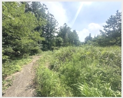  2024Ÿ��9008 ���� ���ֽ� �Ѹ��� ��븮 979      ����(�Ӿ�)���