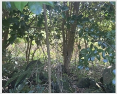  2024Ÿ��9008 ���� ���ֽ� �Ѹ��� ��븮 979      ����(�Ӿ�)���