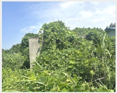  2024Ÿ��9008 ���� ���ֽ� �Ѹ��� ��븮 979      ����(�Ӿ�)���