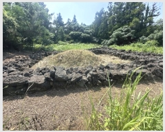  2024Ÿ��9008 ���� ���ֽ� �Ѹ��� ��븮 979      ����(�Ӿ�)���