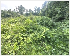  2024Ÿ��9008 ���� ���ֽ� �Ѹ��� ��븮 979      ����(�Ӿ�)���