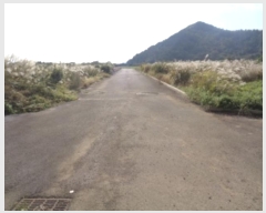  2024Ÿ11353   ȴ 踮 1140      (1)