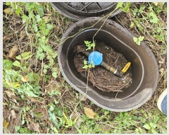  2024Ÿ12752   Ͽ 653       (Ӿ)