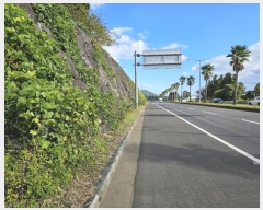  2024Ÿ12752   Ͽ 653       (Ӿ)