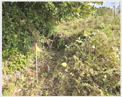  2024Ÿ12752   Ͽ 653       (Ӿ)