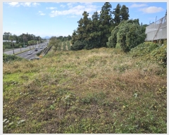  2024Ÿ12752   Ͽ 653       (Ӿ)