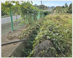  2024Ÿ12752   Ͽ 653       (Ӿ)