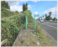  2024Ÿ12752   Ͽ 653       (Ӿ)