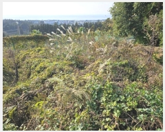  2024Ÿ12752   Ͽ 653       (Ӿ)