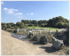  2024Ÿ12875    긮 2775      (Ӿ)