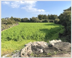  2024Ÿ12875    긮 2775      (Ӿ)